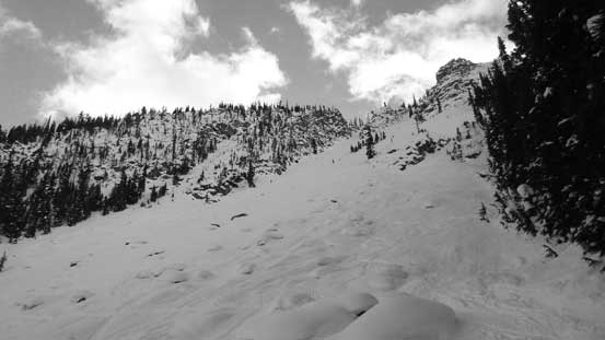 Into the lower avalanche path