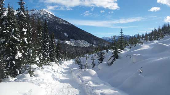 Down to the logging road now. 