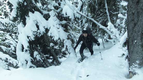 Vlad coming up the typical country in this wooded section.