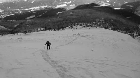 Plodding into the alpine zone on the broad NW Ridge