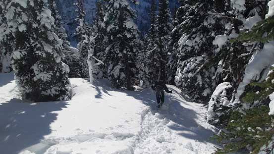 Into that steep wooded section.