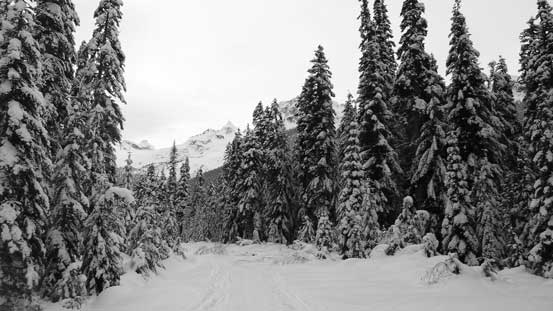 This is the lower stretch of logging road on Cerise Creek approach