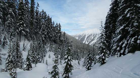 Higher up along Cerise Creek
