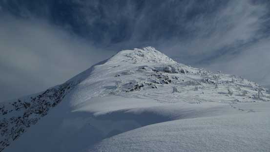 Another shot looking up 