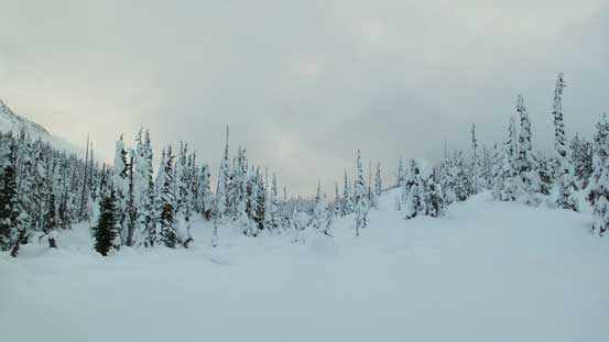 The typical terrain on that broad pass south of Mt. Duke and north of Snowspider Mountain