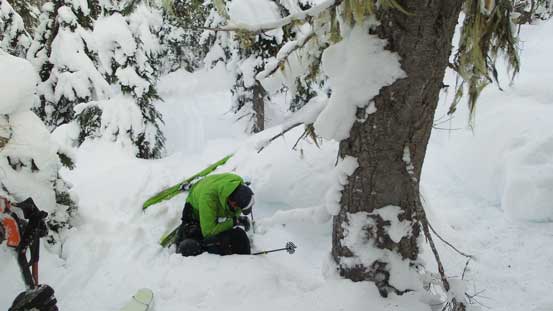 Sections were very pleasant on skis..