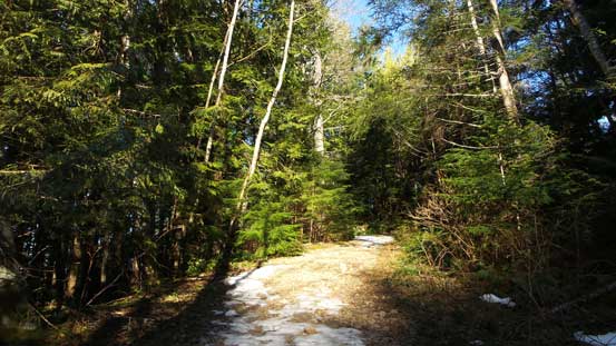 The trip began with slogging up this logging road