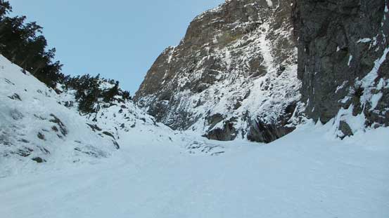 This is the typical view looking up.