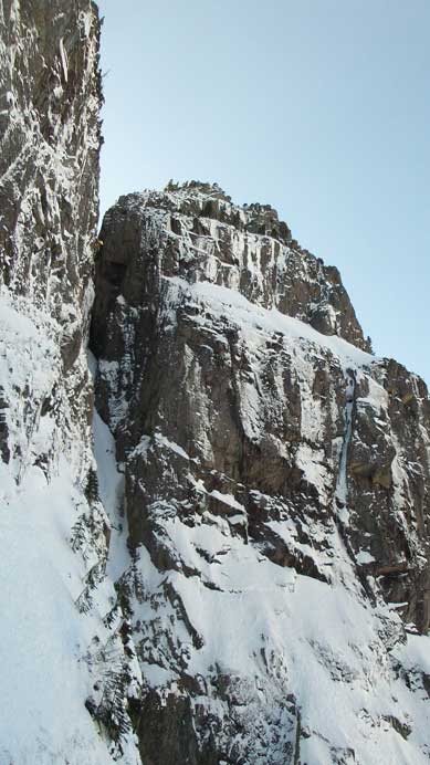 Good perspective of Harvey's Pup