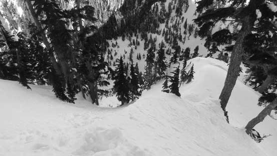 Finally topping out on the upper E. Ridge, looking down