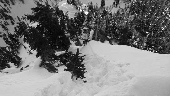 The E. Ridge wasn't easy neither with lots of steep and bushy steps like this one.