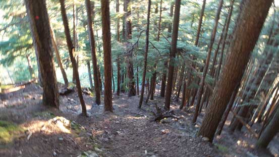 Now onto dry ground. Crampons are off.