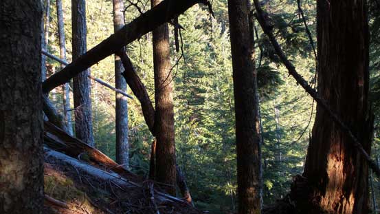 It's almost looking like summer...