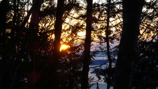 It's sunset time.. Down to the logging road now.