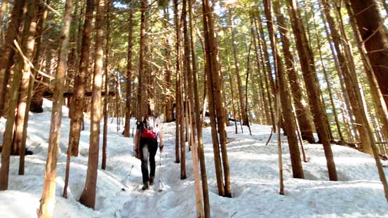 Hitting continuous snow