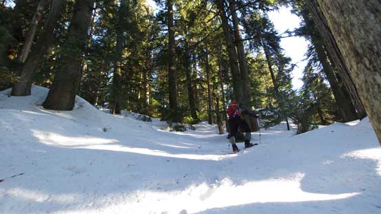 A bit steep here and there..