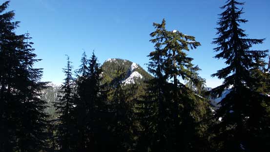 A glimpse of The Needles through trees