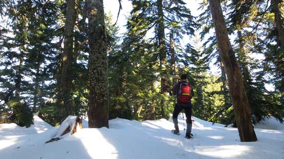 Down to Lynn/Needles saddle, also the upper reach of Hydraulic Creek trail