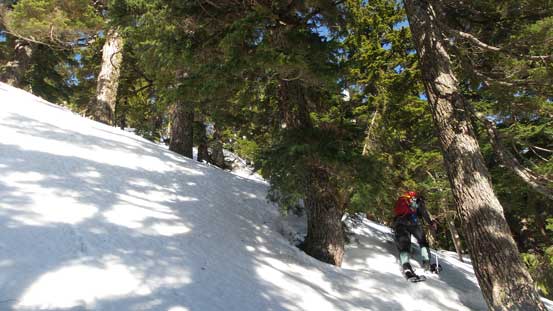 Vlad leading the way. 