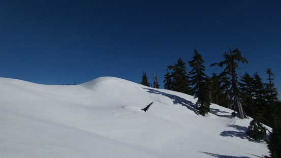 The grade finally eased off and we were minutes away from Middle Needle