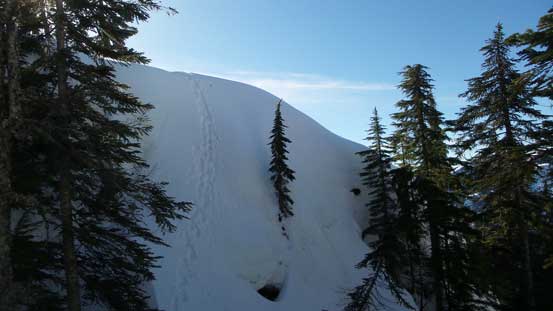 But here's another steep down-climb. It's much shorter though. 