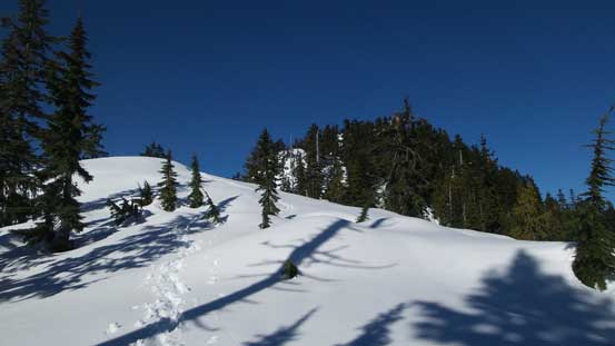 A gorgeous afternoon nonetheless 