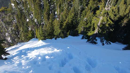 Climbing back up the N. Face of S. Needle