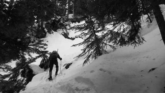One of the many, many uphill slogs along the Lynn Ridge traverse