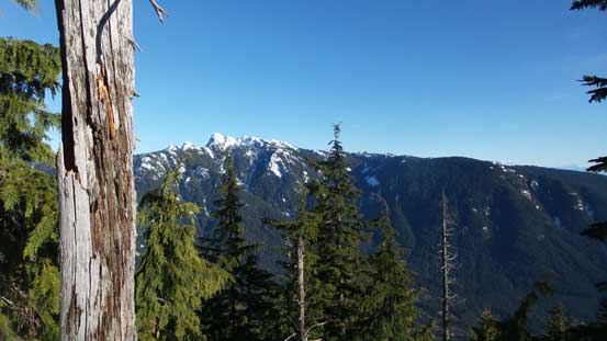 Back to the south side of Lynn Peak now. This is looking at Mt. Seymour