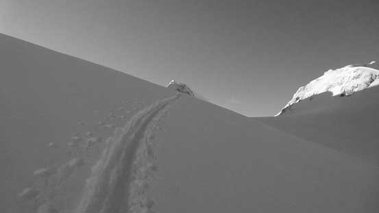 A well-defined set of skin tracks leading onto the Matier Glacier