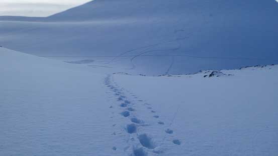 Boot-packing up the lower face