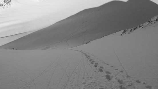 This is the lower NW Face