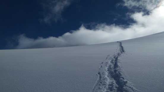 Snowshoe tracks on Matier Glacier