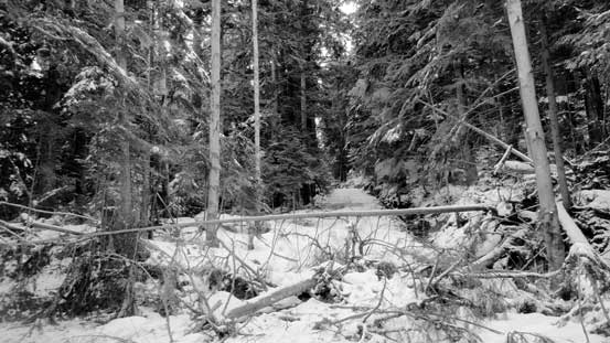 Another picture of the start of this old road