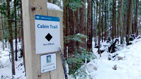 Arriving at Cabin Trail junction