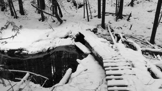 Like I said, this trail was in a good shape.. 