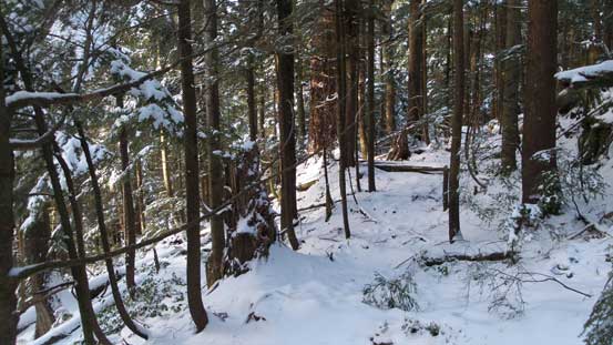 Up the opposite side of the creek, still able to pick up old remnant roads here and there