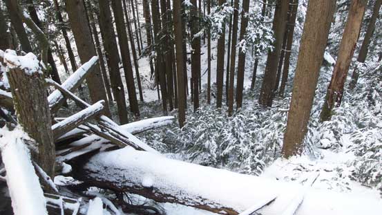 Going down this slope wasn't pleasant. 
