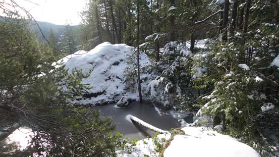 A tiny pond on the summit of Devil's Peak