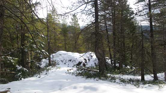 Really not much to see. This is looking back towards the lower Seymour